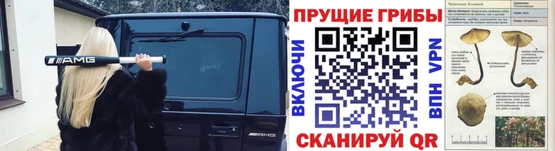 Псилоцибиновые грибы Psilocybine cubensis Удачный